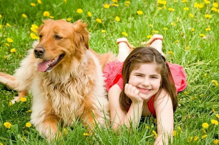 Veterinary Center Family Pet Care Picture 2