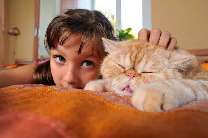 Veterinary Center Family Pet Care Picture 7