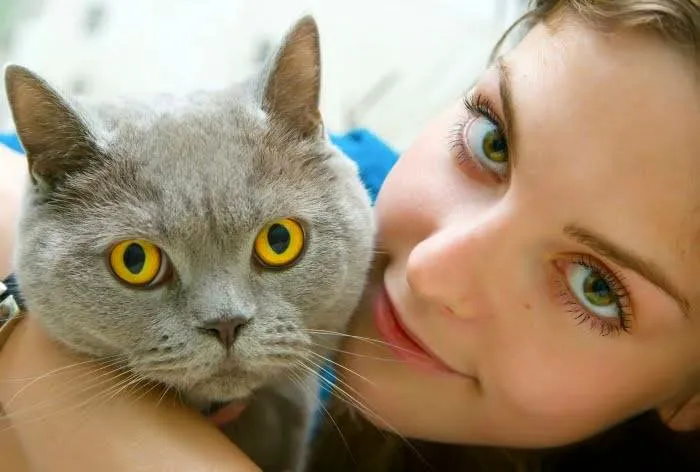 Veterinary Center Family Pet Care Picture 8