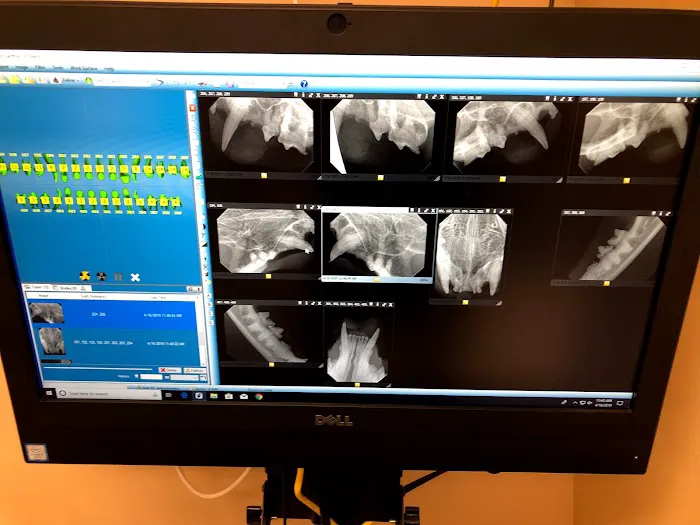 Pet Townsend Veterinary Clinic Picture 4