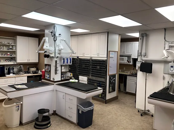 Pet Townsend Veterinary Clinic Picture 7