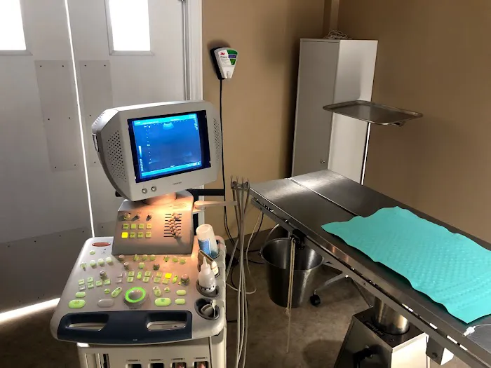 Pet Townsend Veterinary Clinic Picture 8