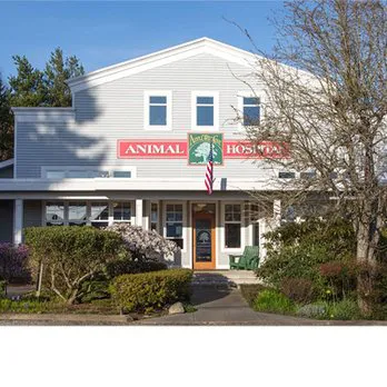 Apple Tree Cove Animal Hospital Picture 1