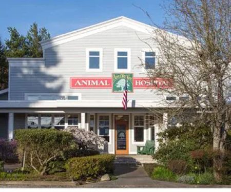 Apple Tree Cove Animal Hospital