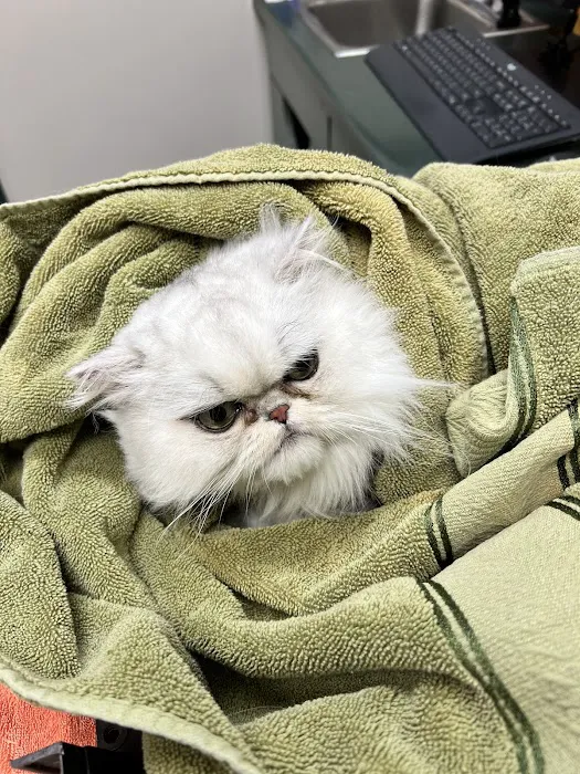 Apple Tree Cove Animal Hospital Picture 9