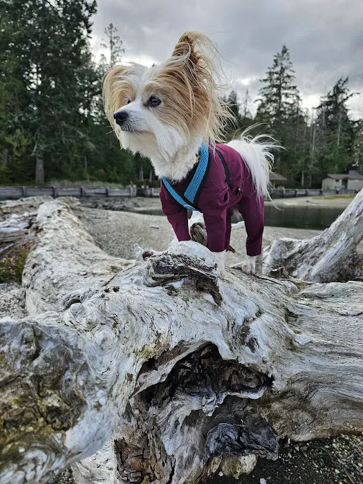 Balanced Pet NW Picture 5