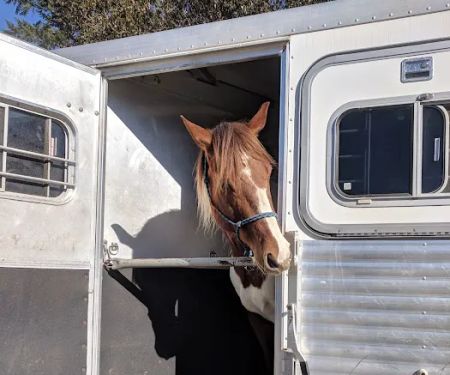 Sound Equine Veterinary Hospital