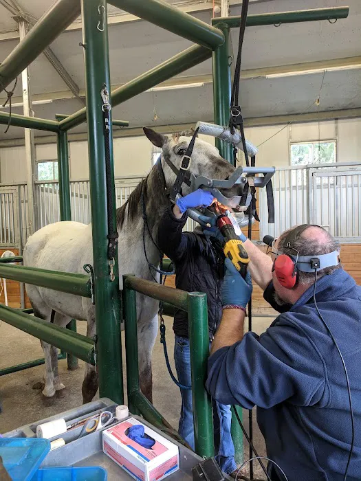 Sound Equine Veterinary Hospital Picture 3