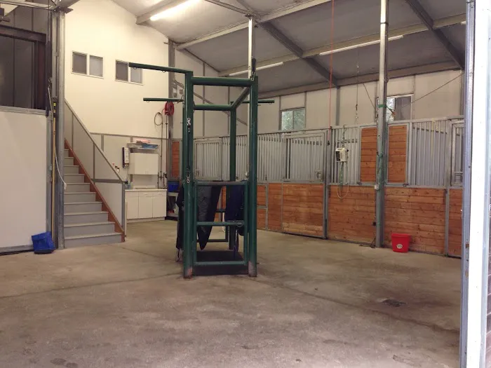 Sound Equine Veterinary Hospital Picture 6