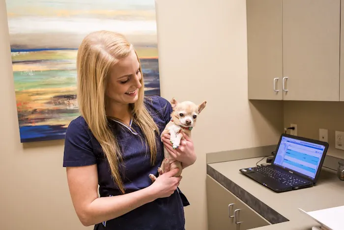 Clifton Hollow Animal Hospital Picture 5