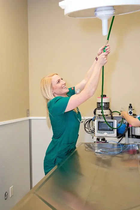 Clifton Hollow Animal Hospital Picture 3