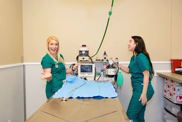 Clifton Hollow Animal Hospital Picture 8