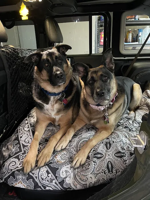 Animal Emergency & Specialty Center Picture 5
