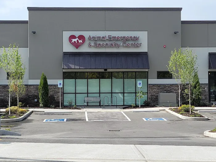 Animal Emergency & Specialty Center Picture 10