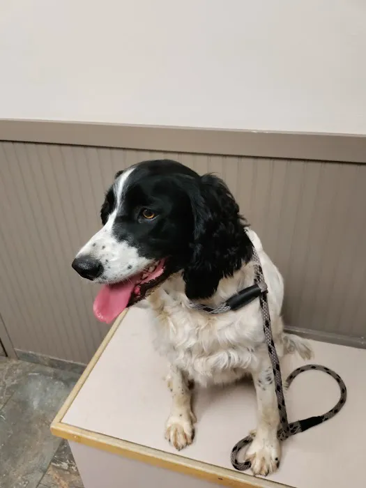 Poulsbo Marina Veterinary Clinic Picture 10
