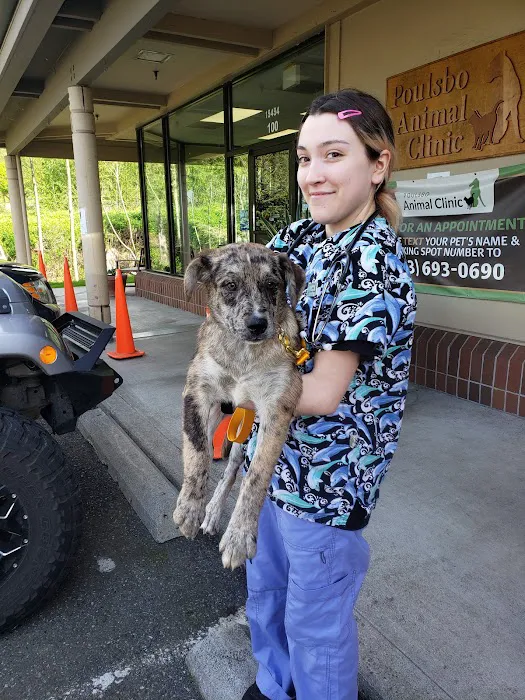 Poulsbo Animal Clinic Picture 4