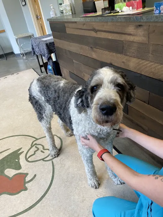 Companion Animal Wellness Center Picture 1