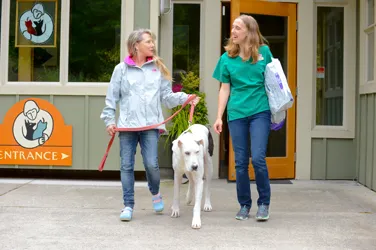 Companion Animal Wellness Center Picture 7