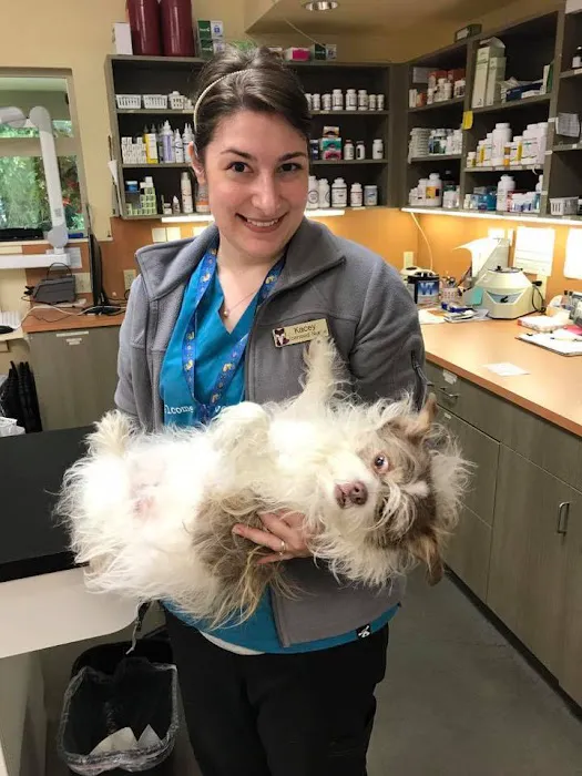 Companion Animal Wellness Center Picture 10