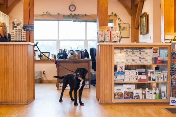 Penn Cove Veterinary Clinic Picture 9