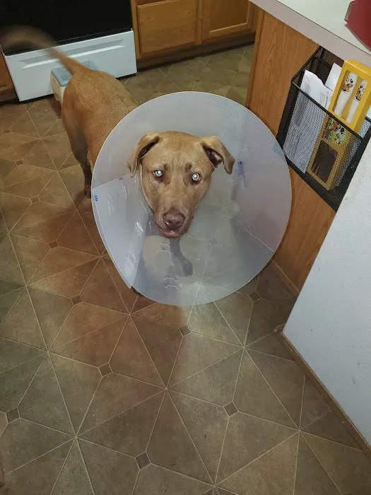 Hawks Prairie Veterinary Hospital Picture 5