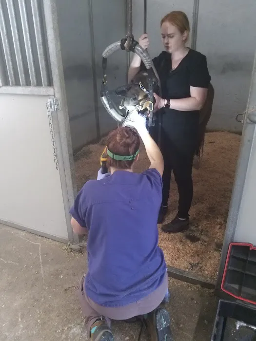 Olympia Equine Veterinary Services Picture 2