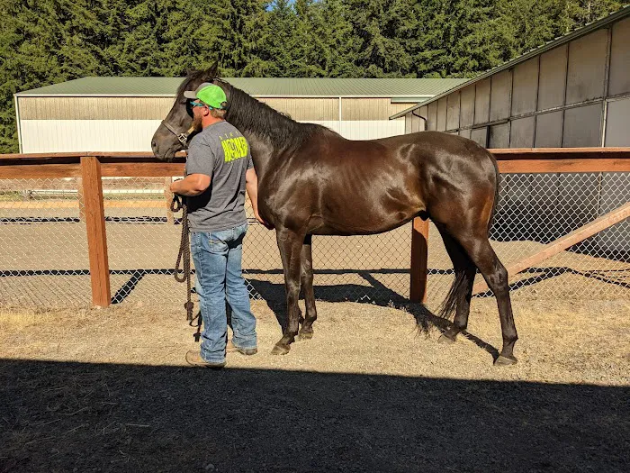 Olympia Equine Veterinary Services Picture 1