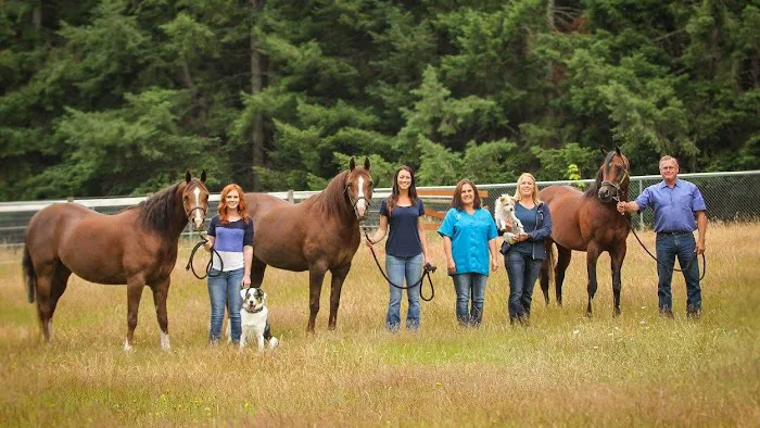 Olympia Equine Veterinary Services Picture 5