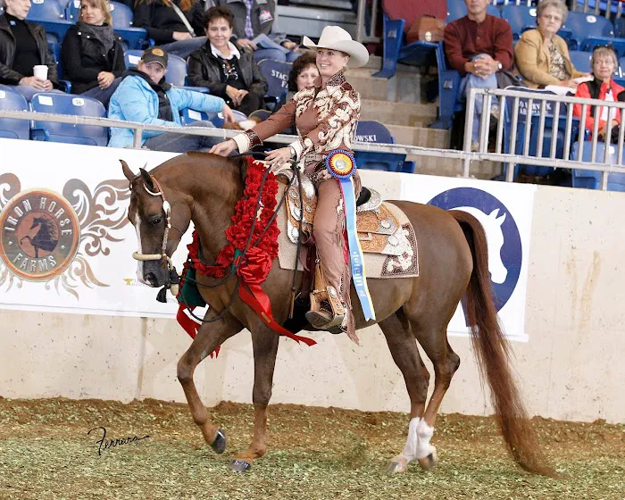 Olympia Equine Veterinary Services Picture 10