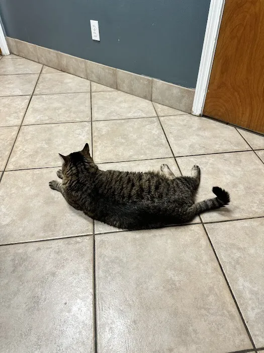 Wheaton Way Veterinary Hospital Picture 8