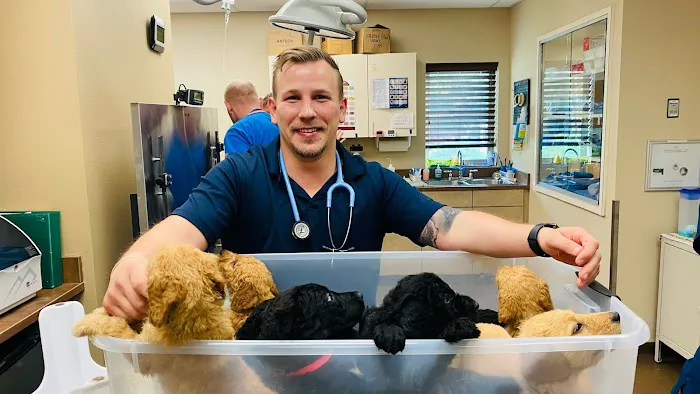 Alder Trail Animal Hospital Picture 4