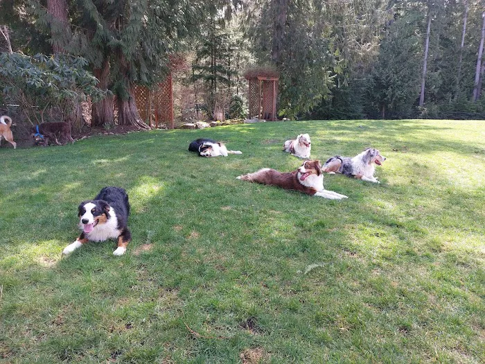 VCA Central Kitsap Animal Hospital Picture 2