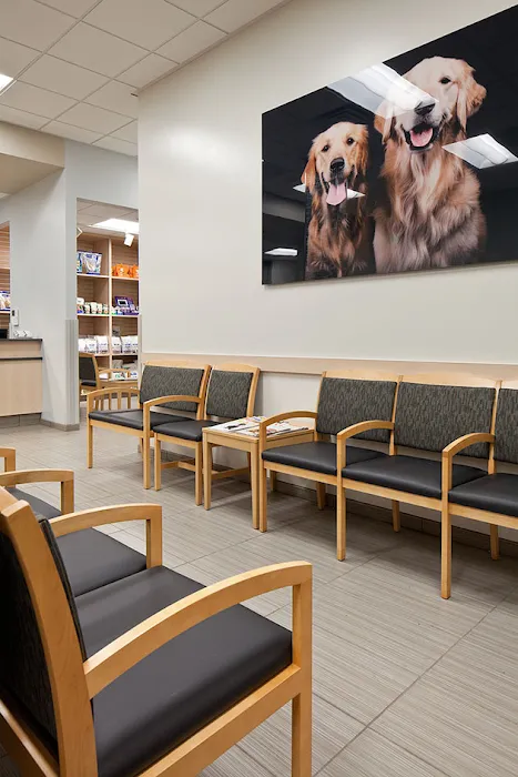 VCA Central Kitsap Animal Hospital Picture 4