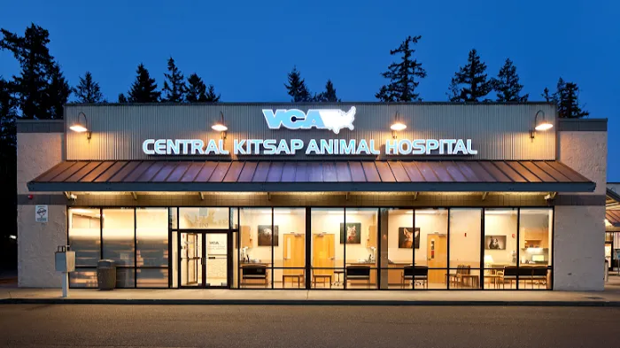VCA Central Kitsap Animal Hospital Picture 5