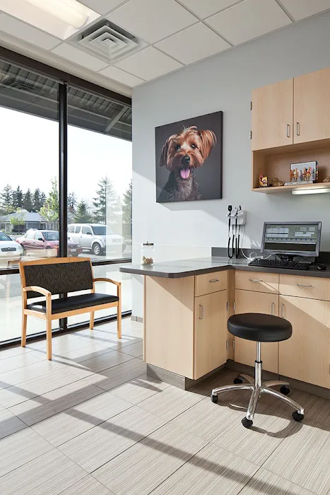 VCA Central Kitsap Animal Hospital Picture 7