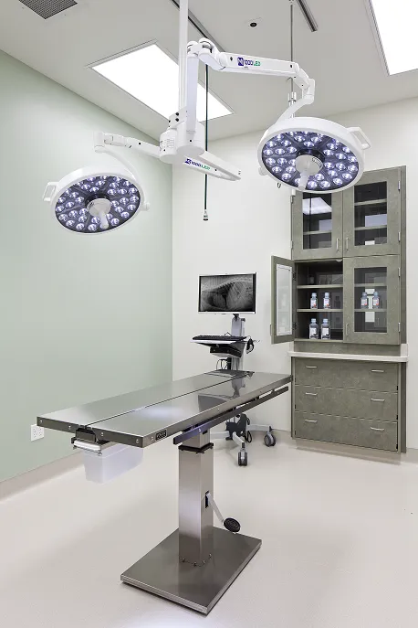 VCA Central Kitsap Animal Hospital Picture 9