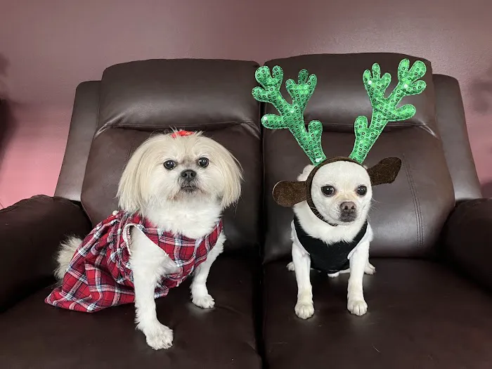 Banfield Pet Hospital Picture 7