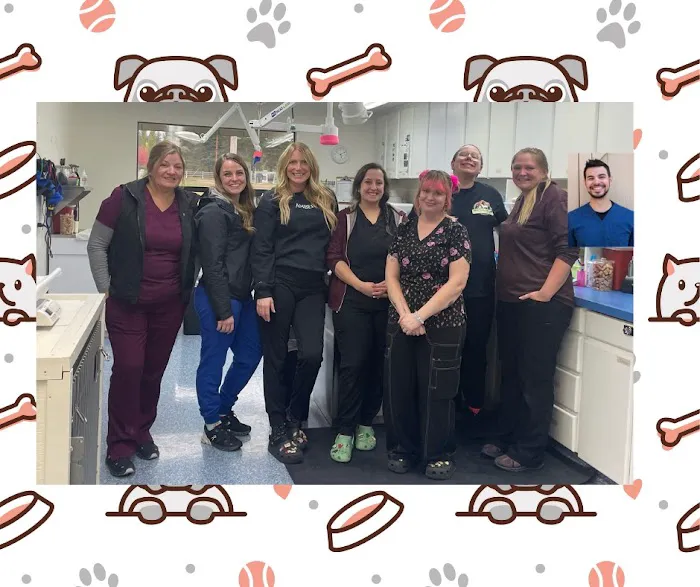 Central Valley Animal Hospital Picture 8