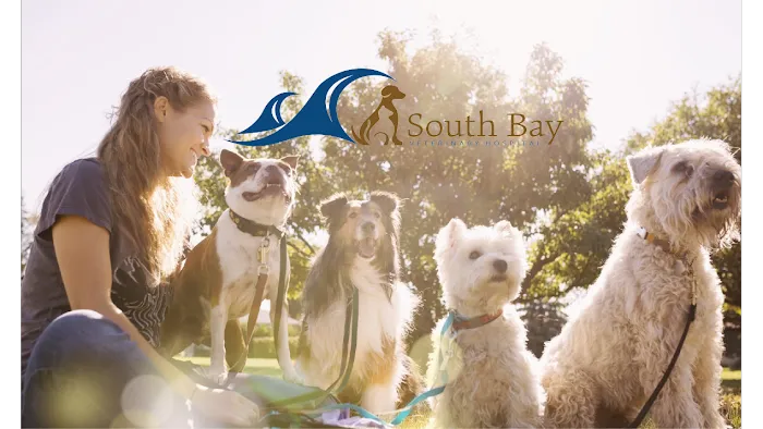 South Bay Veterinary Hospital Picture 10