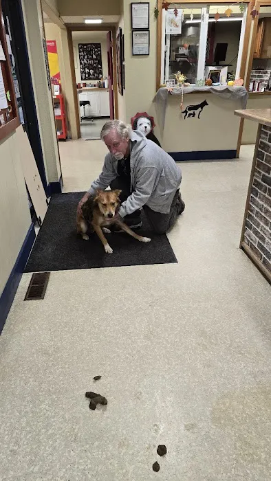 North Olympia Animal Hospital Picture 1