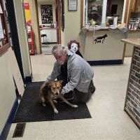 North Olympia Animal Hospital ico