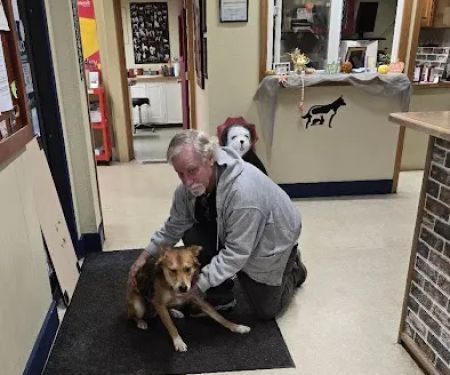 North Olympia Animal Hospital