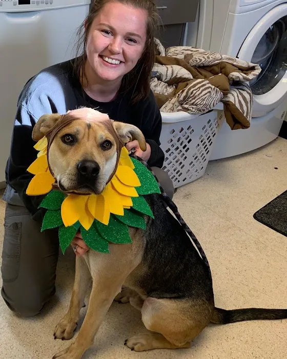 Olympia Veterinary Specialists Oncology Picture 10