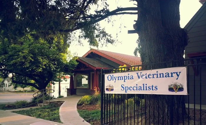 Olympia Veterinary Specialists Oncology Picture 9