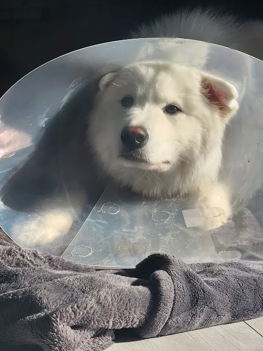Banfield Pet Hospital Picture 2