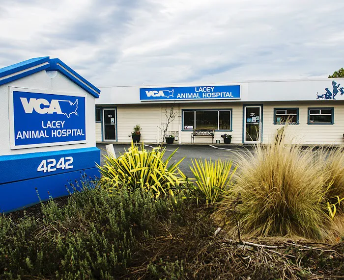 VCA Lacey Animal Hospital Picture 10