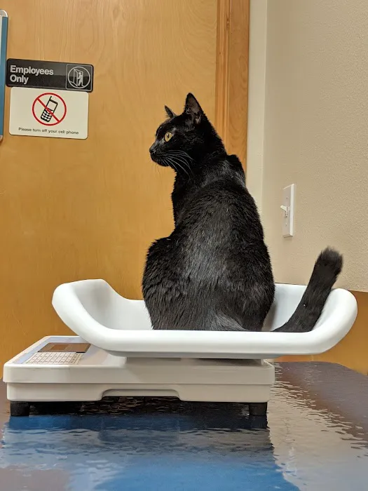VCA Lacey Animal Hospital Picture 7