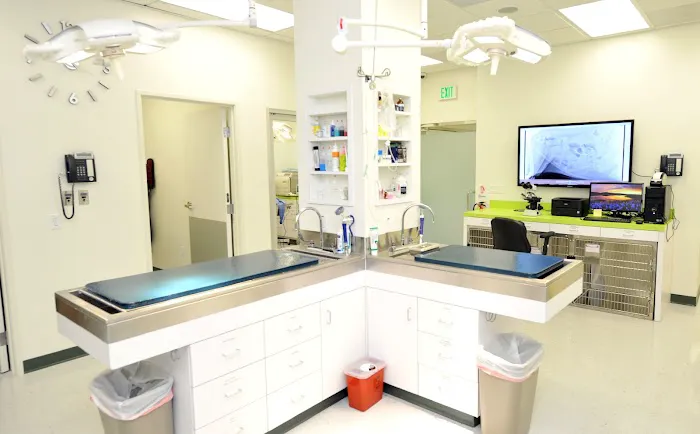 Irvine Great Park Animal Hospital Picture 5