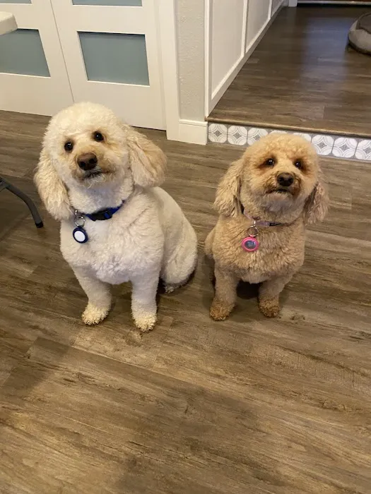 North Hills Animal Hospital Picture 4