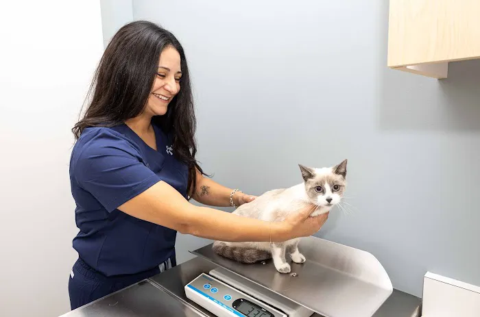 North Hills Animal Hospital Picture 5
